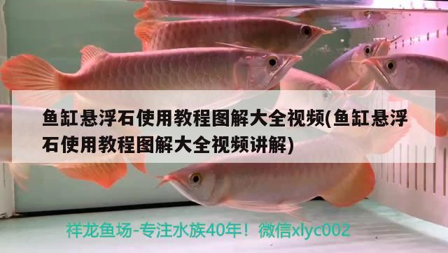 魚缸懸浮石使用教程圖解大全視頻(魚缸懸浮石使用教程圖解大全視頻講解)