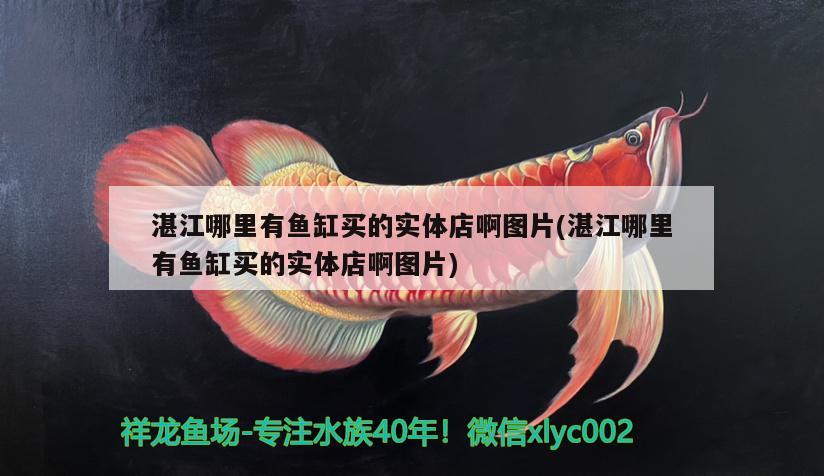 湛江哪里有魚缸買的實體店啊圖片(湛江哪里有魚缸買的實體店啊圖片)