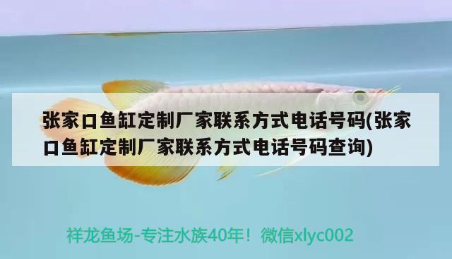 張家口魚缸定制廠家聯(lián)系方式電話號碼(張家口魚缸定制廠家聯(lián)系方式電話號碼查詢) 大日玉鯖魚