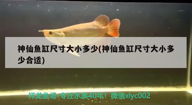 神仙魚(yú)缸尺寸大小多少(神仙魚(yú)缸尺寸大小多少合適) 殺菌消毒設(shè)備