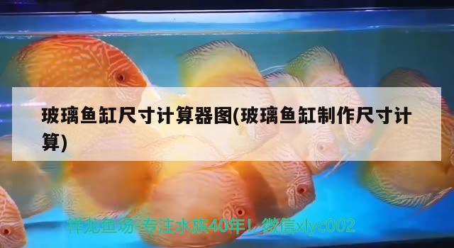 玻璃魚缸尺寸計算器圖(玻璃魚缸制作尺寸計算) 白寫錦鯉魚