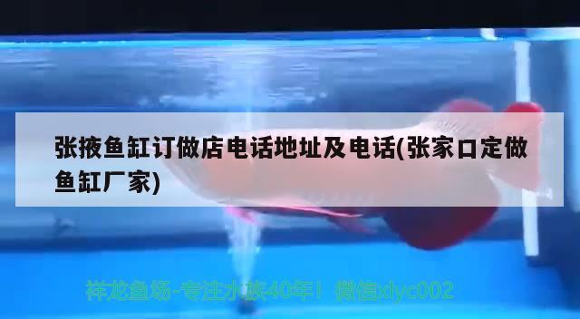 張掖魚缸訂做店電話地址及電話(張家口定做魚缸廠家) 三間鼠魚苗