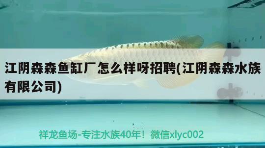 江陰森森魚缸廠怎么樣呀招聘(江陰森森水族有限公司)