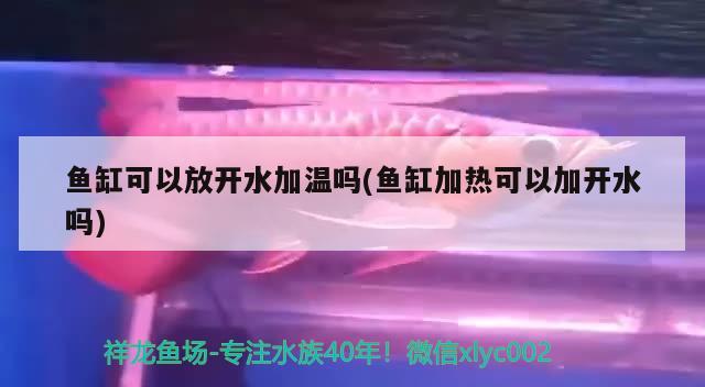 魚缸可以放開水加溫嗎(魚缸加熱可以加開水嗎) BD魟魚