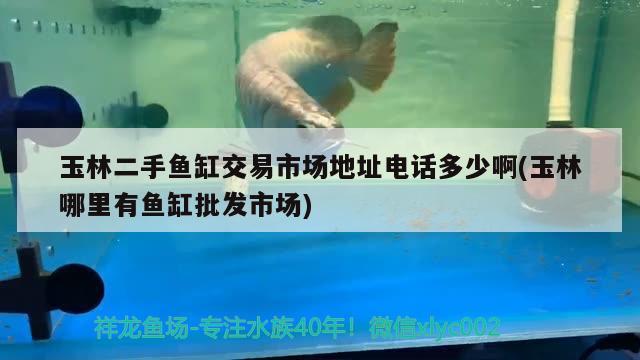 玉林二手魚缸交易市場地址電話多少啊(玉林哪里有魚缸批發(fā)市場)