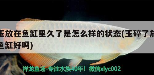 玉放在魚缸里久了是怎么樣的狀態(tài)(玉碎了放魚缸好嗎) 定時器/自控系統(tǒng)