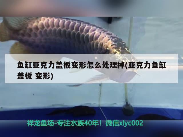 魚缸亞克力蓋板變形怎么處理掉(亞克力魚缸蓋板變形) 硝化細(xì)菌