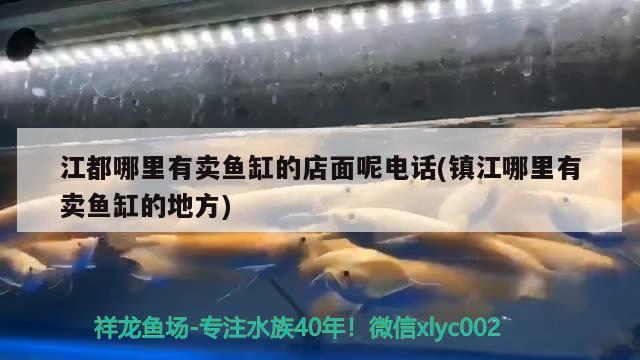 江都哪里有賣魚缸的店面呢電話(鎮(zhèn)江哪里有賣魚缸的地方)