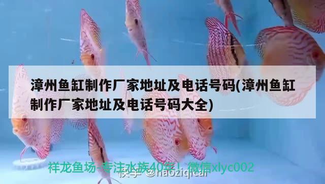 漳州魚缸制作廠家地址及電話號碼(漳州魚缸制作廠家地址及電話號碼大全) 狗頭魚