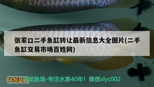 張家口二手魚缸轉(zhuǎn)讓最新信息大全圖片(二手魚缸交易市場百姓網(wǎng))