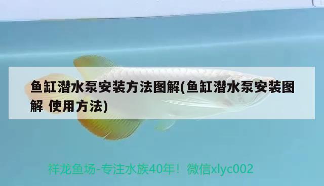 魚缸潛水泵安裝方法圖解(魚缸潛水泵安裝圖解使用方法) 祥龍魚場