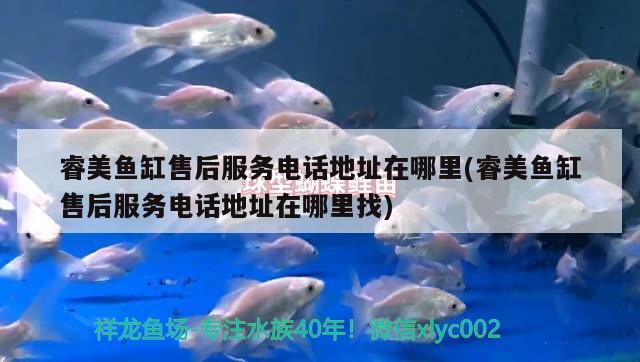 睿美魚缸售后服務(wù)電話地址在哪里(睿美魚缸售后服務(wù)電話地址在哪里找) 女王大帆魚