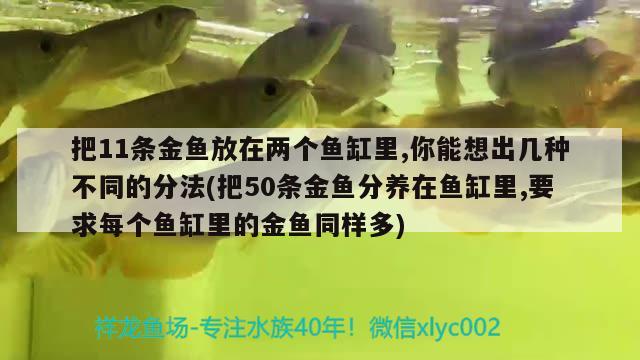 把11條金魚放在兩個(gè)魚缸里,你能想出幾種不同的分法(把50條金魚分養(yǎng)在魚缸里,要求每個(gè)魚缸里的金魚同樣多) 紅白錦鯉魚