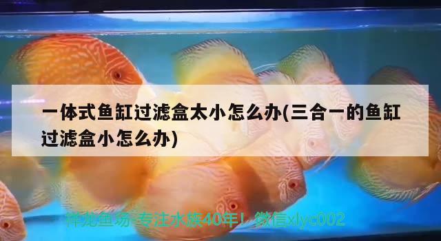 一體式魚缸過濾盒太小怎么辦(三合一的魚缸過濾盒小怎么辦) 一眉道人魚