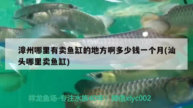 漳州哪里有賣(mài)魚(yú)缸的地方啊多少錢(qián)一個(gè)月(汕頭哪里賣(mài)魚(yú)缸) 祥龍魚(yú)場(chǎng)