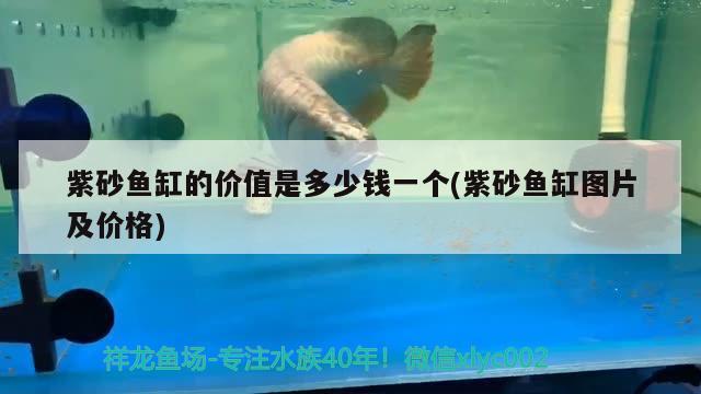 紫砂魚缸的價值是多少錢一個(紫砂魚缸圖片及價格)