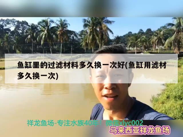 魚缸里的過濾材料多久換一次好(魚缸用濾材多久換一次) 圖騰金龍魚