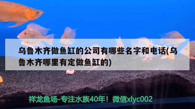 烏魯木齊做魚缸的公司有哪些名字和電話(烏魯木齊哪里有定做魚缸的)