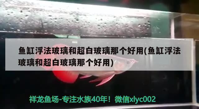 魚缸浮法玻璃和超白玻璃那個好用(魚缸浮法玻璃和超白玻璃那個好用) 定時器/自控系統(tǒng)