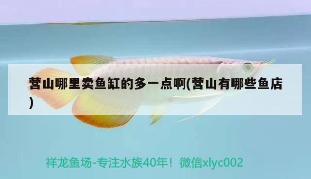 營(yíng)山哪里賣(mài)魚(yú)缸的多一點(diǎn)啊(營(yíng)山有哪些魚(yú)店)