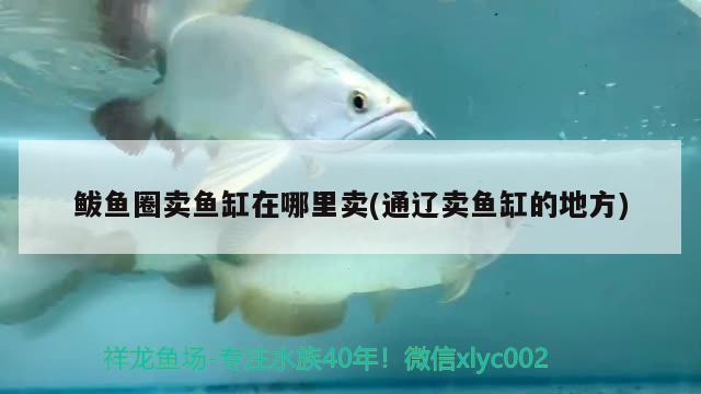 鲅魚圈賣魚缸在哪里賣(通遼賣魚缸的地方) 藍底過背金龍魚