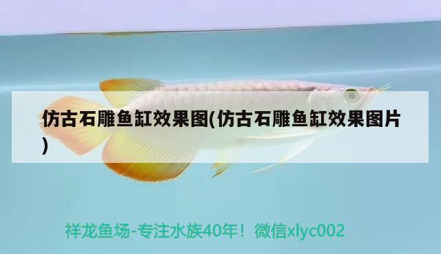 仿古石雕魚缸效果圖(仿古石雕魚缸效果圖片) 魚缸百科