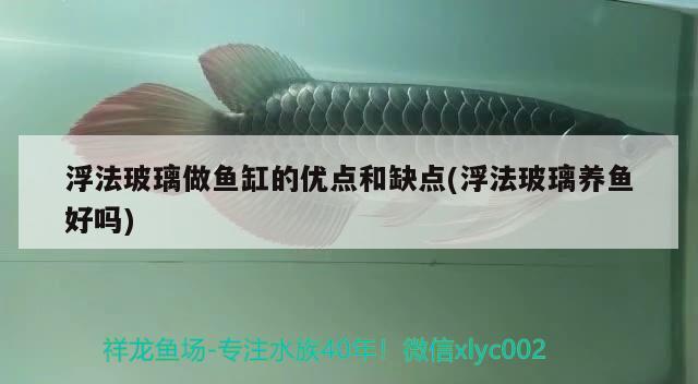 浮法玻璃做魚(yú)缸的優(yōu)點(diǎn)和缺點(diǎn)(浮法玻璃養(yǎng)魚(yú)好嗎)