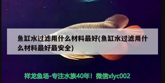 魚(yú)缸水過(guò)濾用什么材料最好(魚(yú)缸水過(guò)濾用什么材料最好最安全)