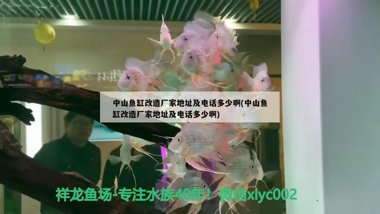 中山魚缸改造廠家地址及電話多少啊(中山魚缸改造廠家地址及電話多少啊) 丹頂錦鯉魚 第2張