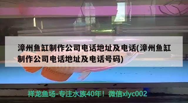 漳州魚缸制作公司電話地址及電話(漳州魚缸制作公司電話地址及電話號(hào)碼) 祥禾Super Red紅龍魚