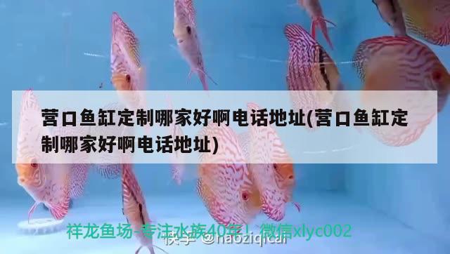 營(yíng)口魚缸定制哪家好啊電話地址(營(yíng)口魚缸定制哪家好啊電話地址)