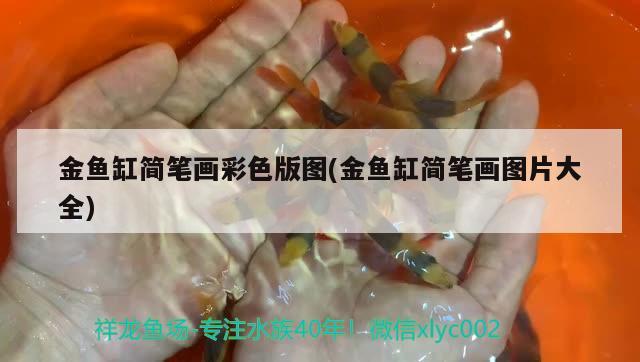 金魚缸簡筆畫彩色版圖(金魚缸簡筆畫圖片大全) 圖騰金龍魚