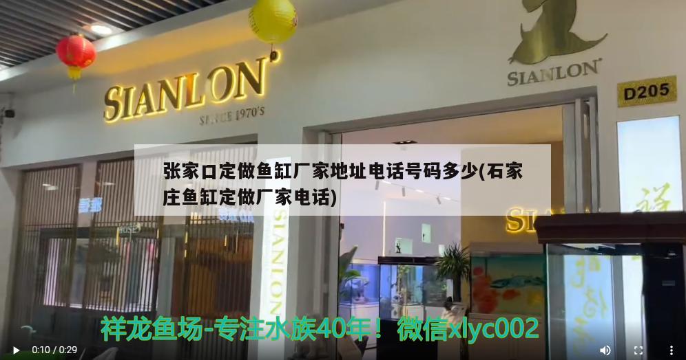 張家口定做魚缸廠家地址電話號碼多少(石家莊魚缸定做廠家電話)