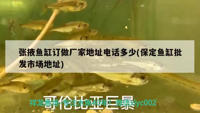 張掖魚缸訂做廠家地址電話多少(保定魚缸批發(fā)市場(chǎng)地址) 雪龍魚