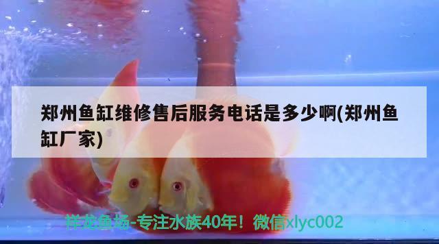 鄭州魚缸維修售后服務電話是多少啊(鄭州魚缸廠家) 野彩魚