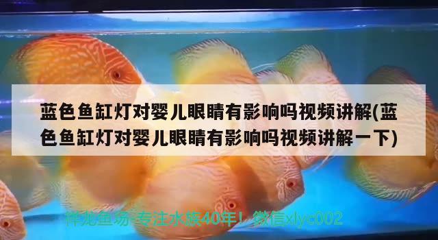 藍色魚缸燈對嬰兒眼睛有影響嗎視頻講解(藍色魚缸燈對嬰兒眼睛有影響嗎視頻講解一下) 南美異型魚 第1張