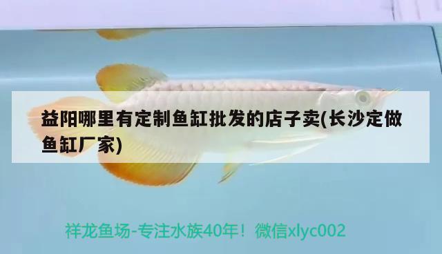 益陽(yáng)哪里有定制魚缸批發(fā)的店子賣(長(zhǎng)沙定做魚缸廠家)