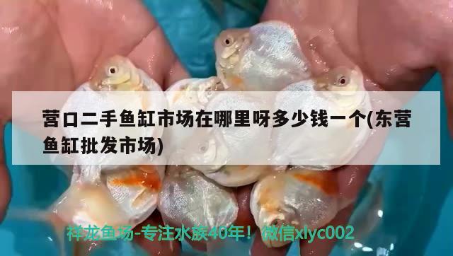 營口二手魚缸市場在哪里呀多少錢一個(東營魚缸批發(fā)市場)