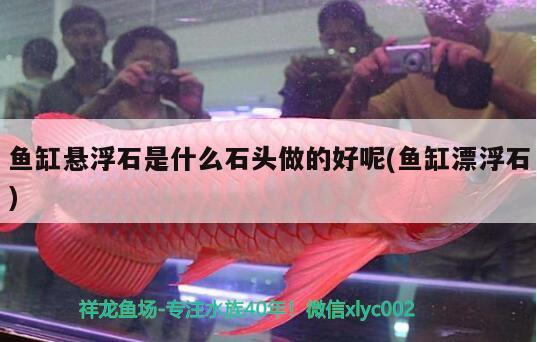 魚缸懸浮石是什么石頭做的好呢(魚缸漂浮石)