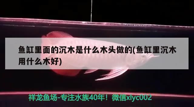 魚缸里面的沉木是什么木頭做的(魚缸里沉木用什么木好) 金頭過背金龍魚