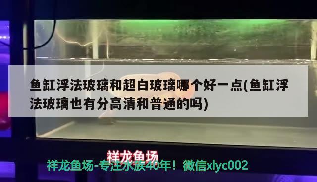 魚缸浮法玻璃和超白玻璃哪個(gè)好一點(diǎn)(魚缸浮法玻璃也有分高清和普通的嗎) 巴西亞魚苗