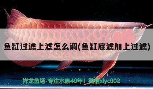 魚缸過(guò)濾上濾怎么調(diào)(魚缸底濾加上過(guò)濾)