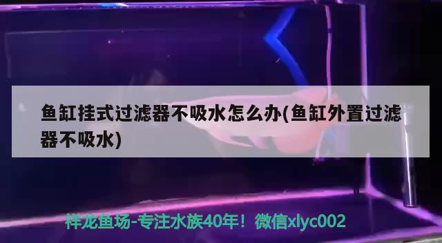 魚缸掛式過濾器不吸水怎么辦(魚缸外置過濾器不吸水) 虎斑恐龍魚