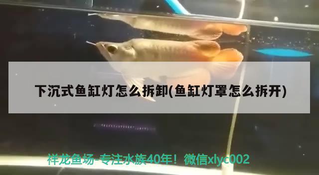 下沉式魚缸燈怎么拆卸(魚缸燈罩怎么拆開)