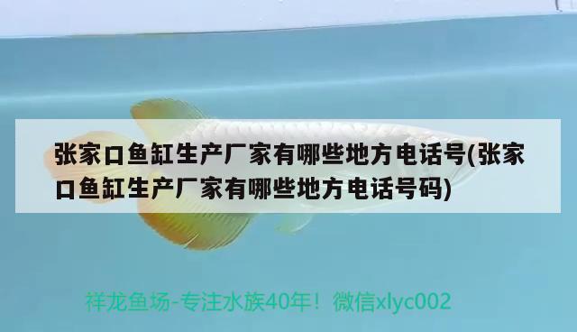 張家口魚(yú)缸生產(chǎn)廠(chǎng)家有哪些地方電話(huà)號(hào)(張家口魚(yú)缸生產(chǎn)廠(chǎng)家有哪些地方電話(huà)號(hào)碼) 羅漢魚(yú)批發(fā)