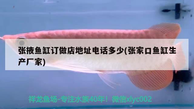 張掖魚缸訂做店地址電話多少(張家口魚缸生產(chǎn)廠家) 帝王血鉆