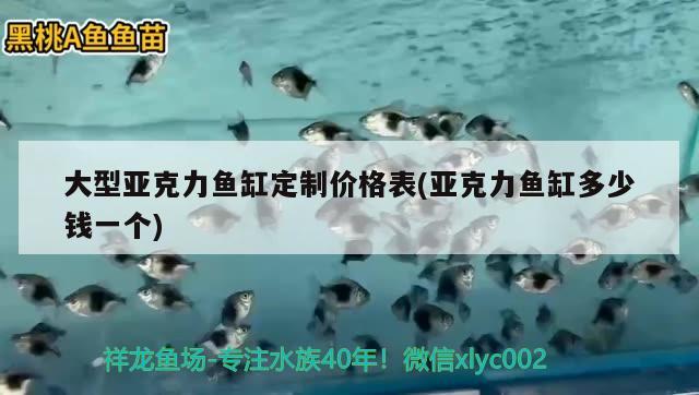 大型亞克力魚缸定制價格表(亞克力魚缸多少錢一個) 熊貓異形魚L46