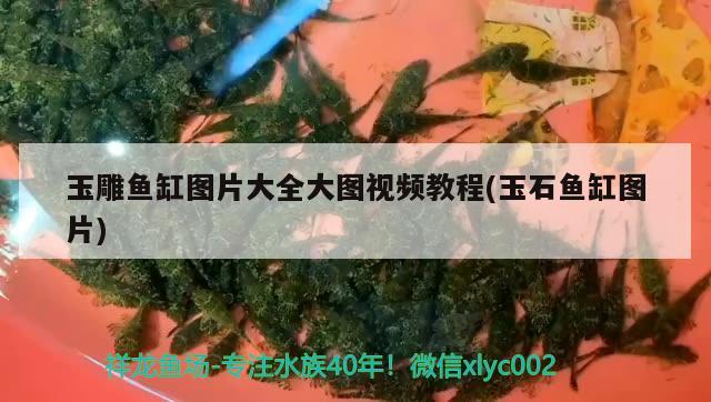 玉雕魚缸圖片大全大圖視頻教程(玉石魚缸圖片)