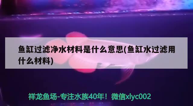 魚缸過濾凈水材料是什么意思(魚缸水過濾用什么材料) 黃金招財貓魚