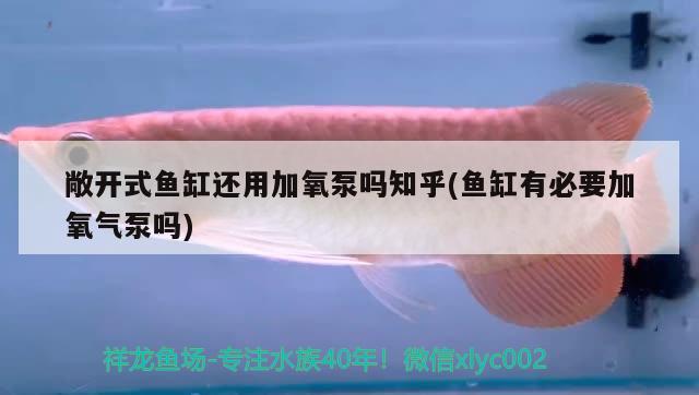 敞開(kāi)式魚(yú)缸還用加氧泵嗎知乎(魚(yú)缸有必要加氧氣泵嗎) B級(jí)過(guò)背金龍魚(yú)